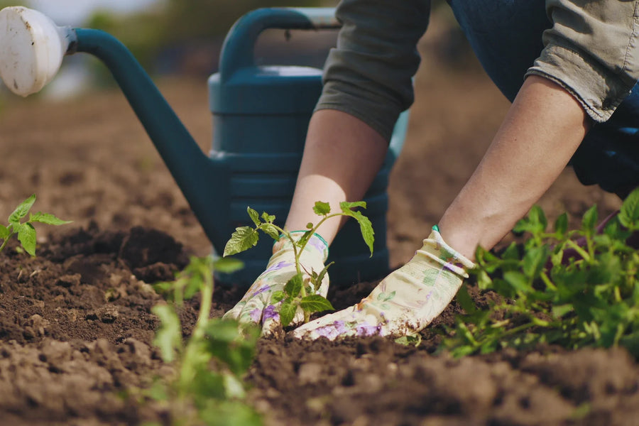 Természetes hatóanyagok a kert szépségéért